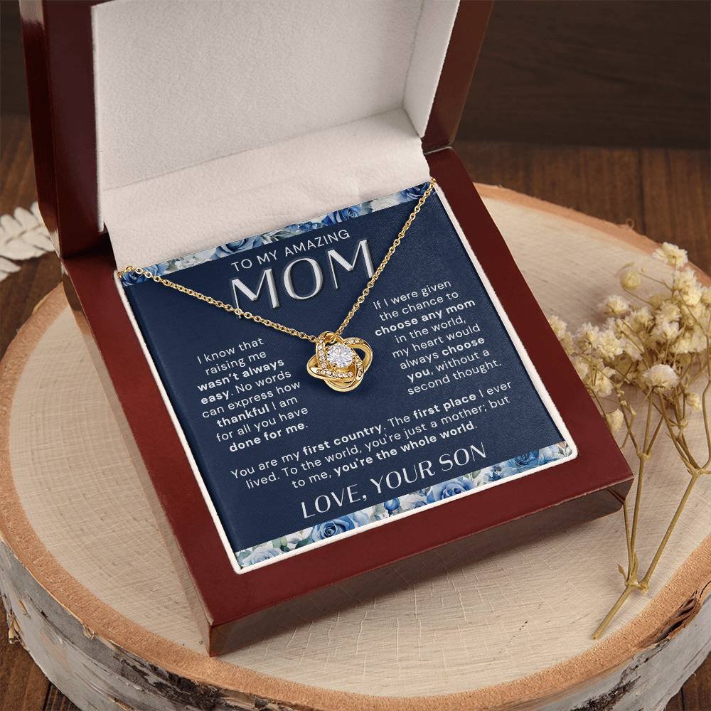 Raising me wasn't always easy | To My Mom Necklace