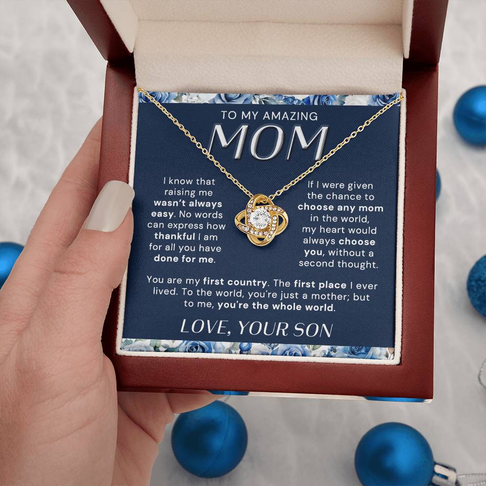 Raising me wasn't always easy | To My Mom Necklace